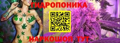 скорость Донской
