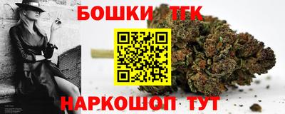 стафф Дубна