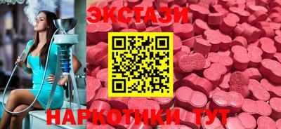 стафф Дубна