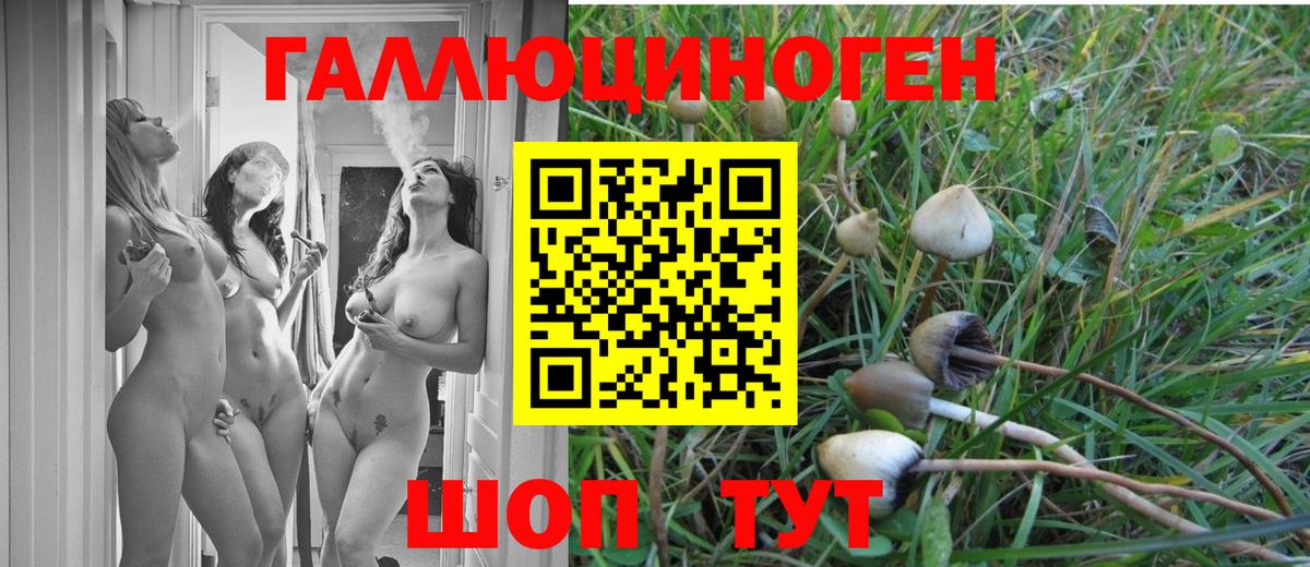 Псилоцибиновые грибы Magic Shrooms  купить   Котельники  Вход с VPN 