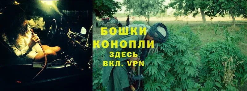 купить закладку  Котельники  Бошки Шишки LSD WEED 